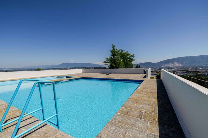 Appartement 1,5 pièce à vendre Avenue de Budé, Genève (7)