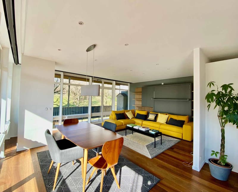 LARGE 1.5 ROOM APARTMENT OF HIGH STANDARD (1)