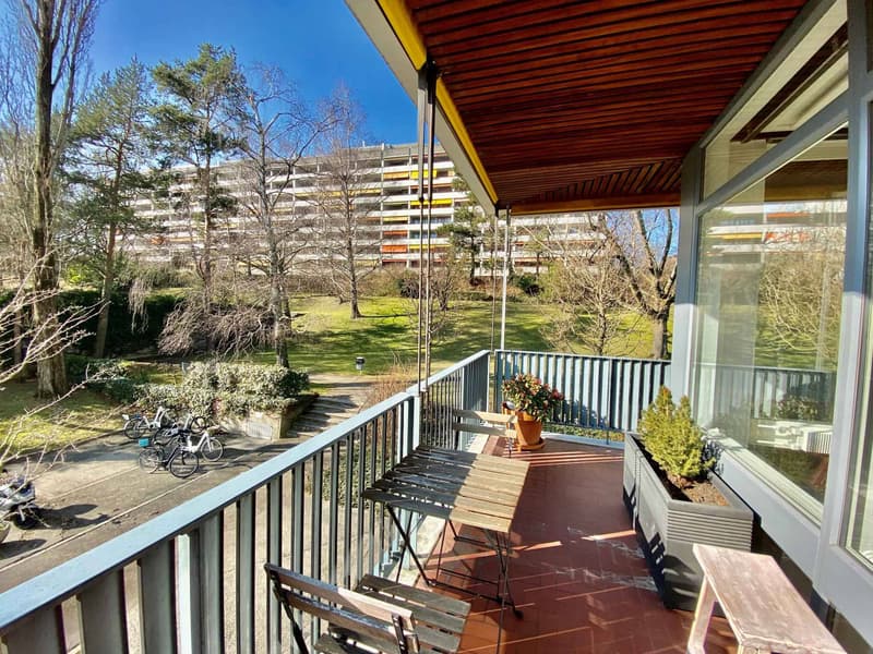LARGE 1.5 ROOM APARTMENT OF HIGH STANDARD (2)
