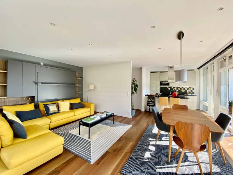LARGE 1.5 ROOM APARTMENT OF HIGH STANDARD (3)