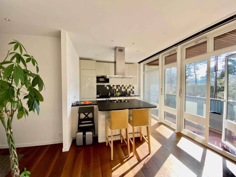 LARGE 1.5 ROOM APARTMENT OF HIGH STANDARD (4)