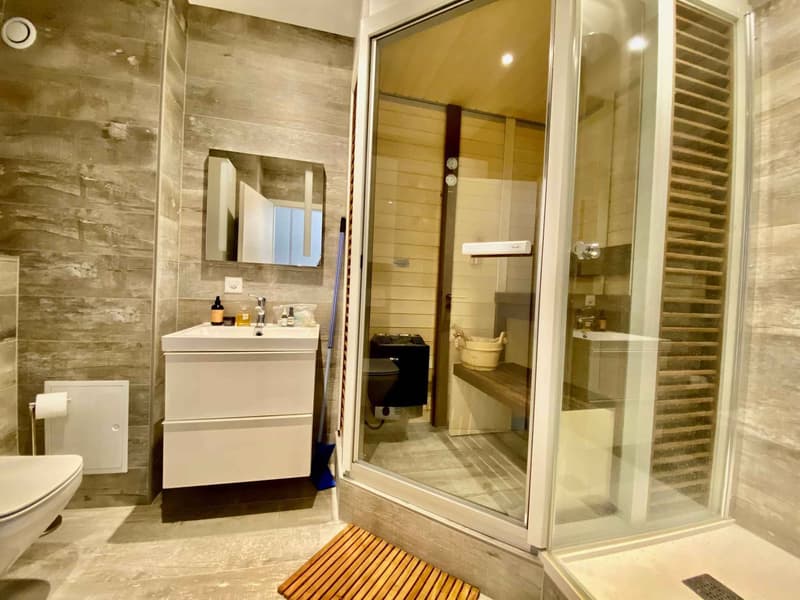 LARGE 1.5 ROOM APARTMENT OF HIGH STANDARD (5)
