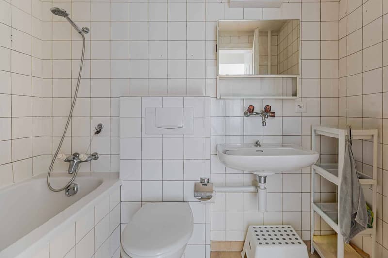 Prächtige 4-Zimmer-Durchgangswohnung (4)