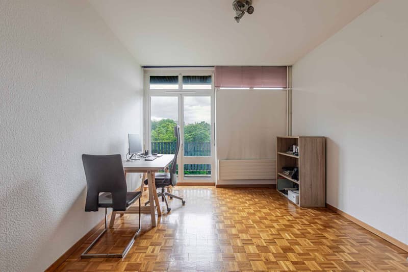 Prächtige 4-Zimmer-Durchgangswohnung (5)