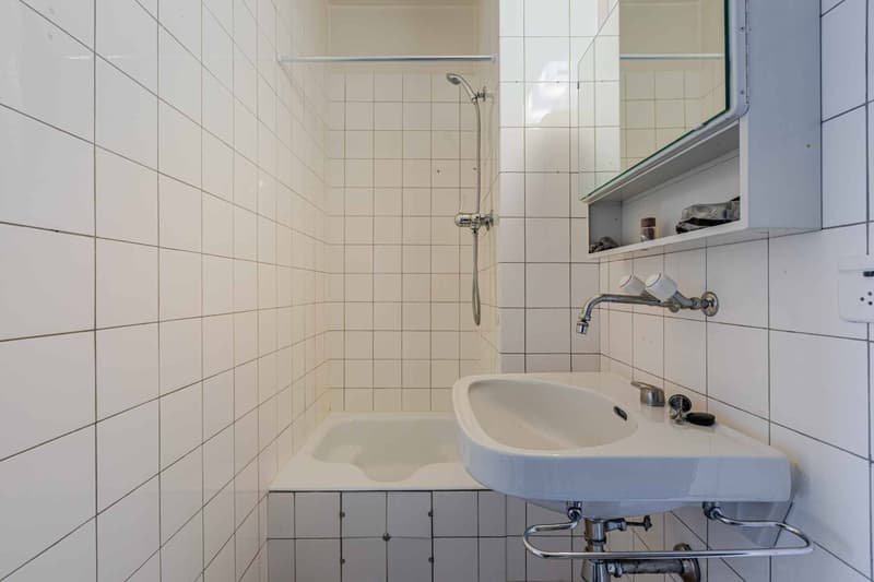 Prächtige 4-Zimmer-Durchgangswohnung (6)