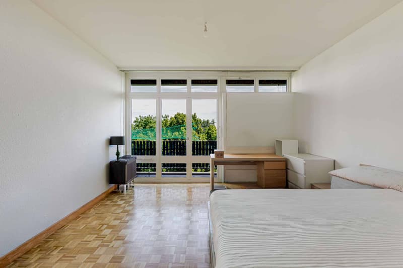 APPARTEMENT 7 PIECES VUE LAC (7)
