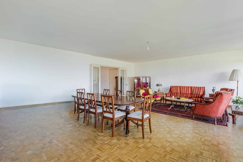 APPARTEMENT 7 PIECES VUE LAC (3)