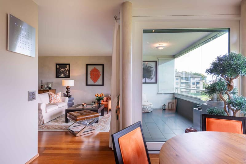 SUPERBE APPARTEMENT MEUBLE RIVE GAUCHE (5)