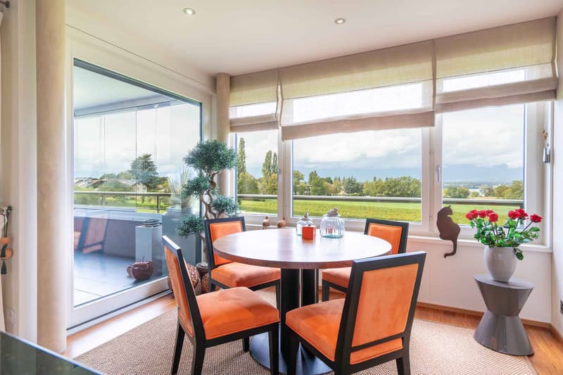 SUPERBE APPARTEMENT MEUBLE RIVE GAUCHE (4)