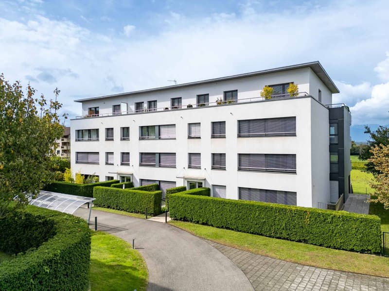 SUPERBE APPARTEMENT MEUBLE RIVE GAUCHE (2)