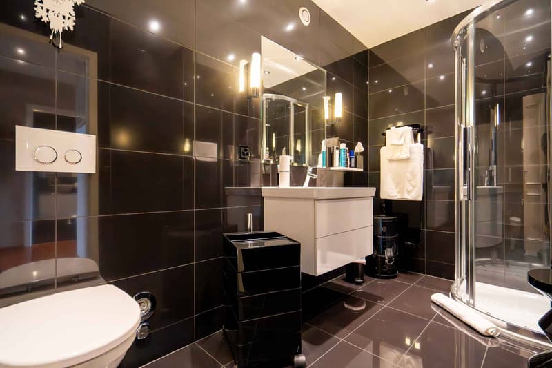 SUPERBE APPARTEMENT MEUBLE RIVE GAUCHE (9)