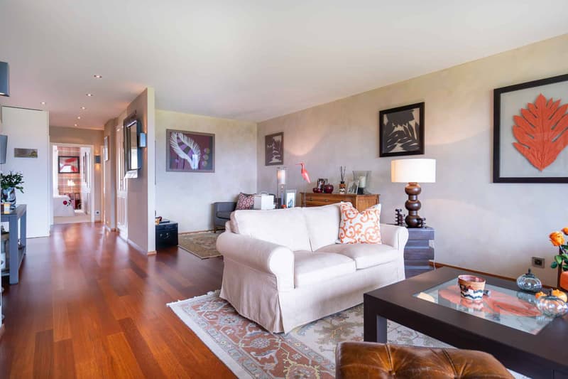 SUPERBE APPARTEMENT MEUBLE RIVE GAUCHE (6)