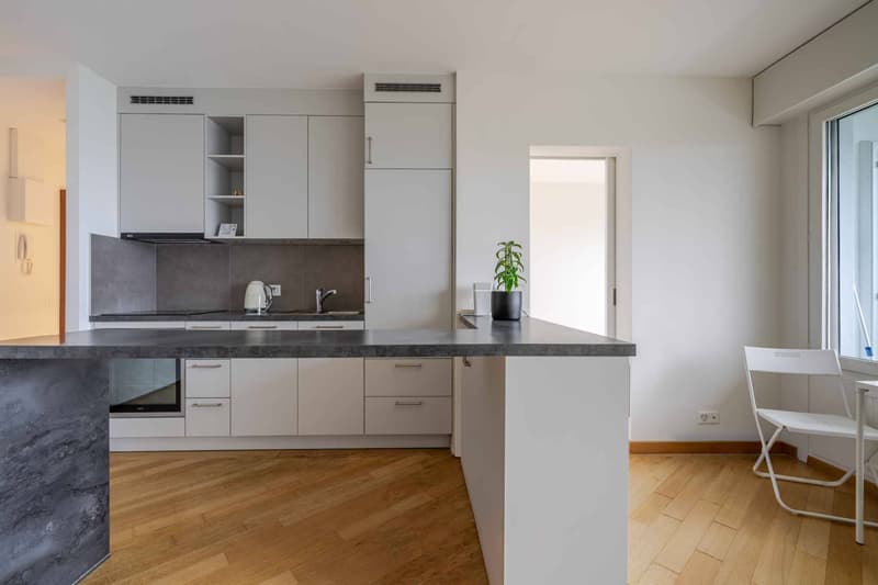 À louer Agréable appartement de 2 pièces (2)