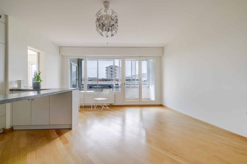 À louer Agréable appartement de 2 pièces (3)