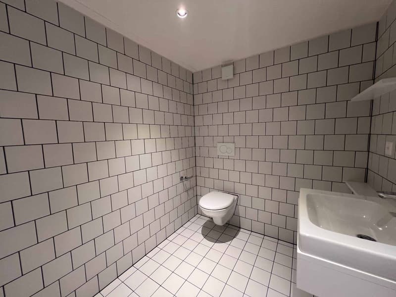 À louer - bel appartement de 3.5 pièces en duplex aux combles (7)