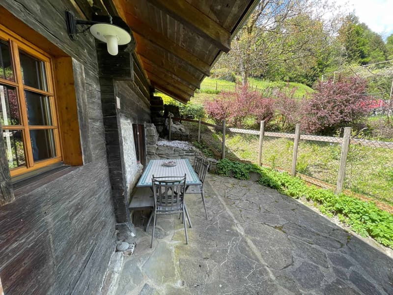 Monolocale in affitto (3)