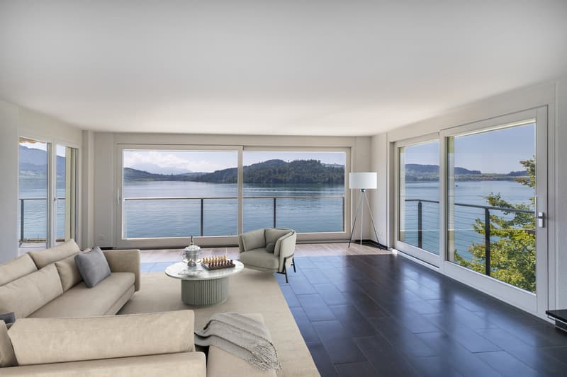 THE LAKESIDE PROPERTY (2)