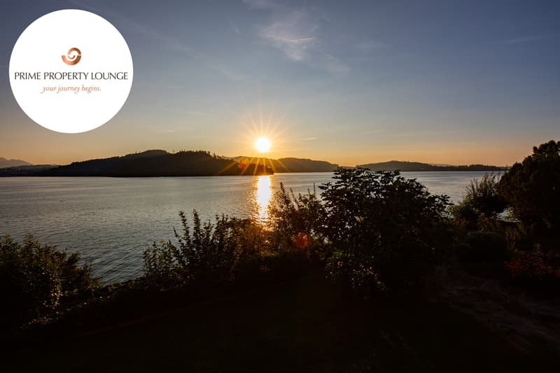 THE LAKESIDE PROPERTY (1)