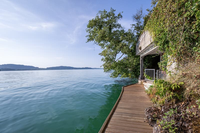 THE LAKESIDE PROPERTY (9)