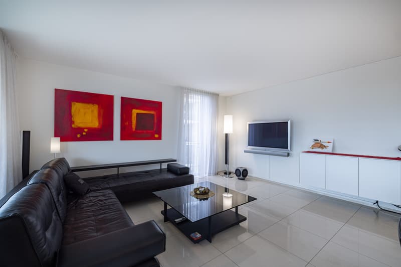 THE APARTMENT (3)