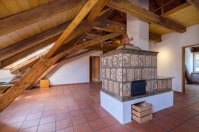 Rare Opportunity: Historic Multi-Family House in the Spa Quarter (11)