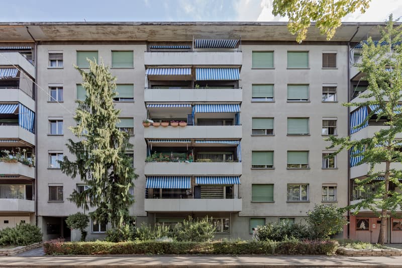 Dornacherstrasse_93_-_95_Basel_©_R._Duerr_1.JPG