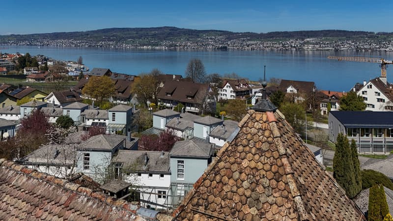 Stilvolle Landhausvilla mit Blick auf den Zürichsee (5)