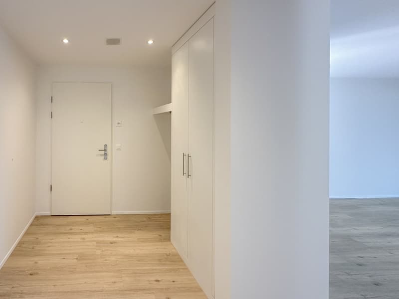 Empty hallway with wooden floor, white walls, white door, built-in wardrobe, recessed lighting