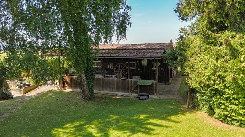 Wooden house, brown roof, wooden fence, several wheels, shrubs, trees, garden hose, mower, and trash bin