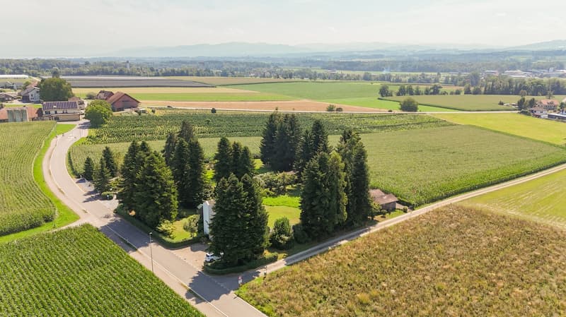 Aerial view of green fields, houses, trees, wide roads, car parked, mountains in the distance