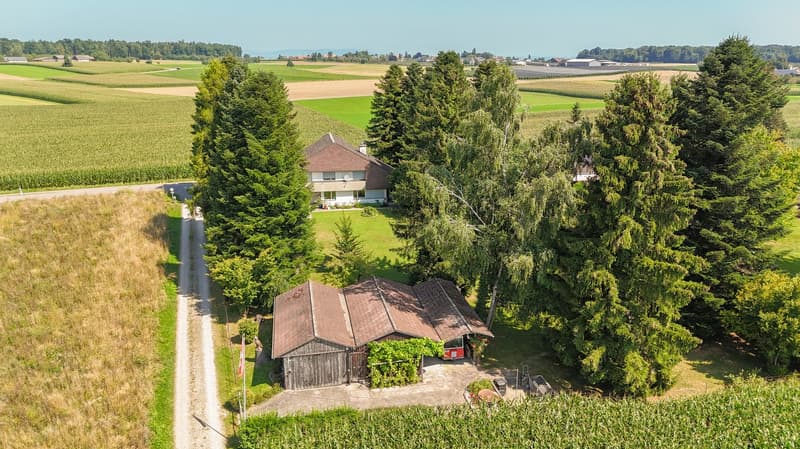 Country house, brown roof, white walls, surrounding trees, barn, red vehicle