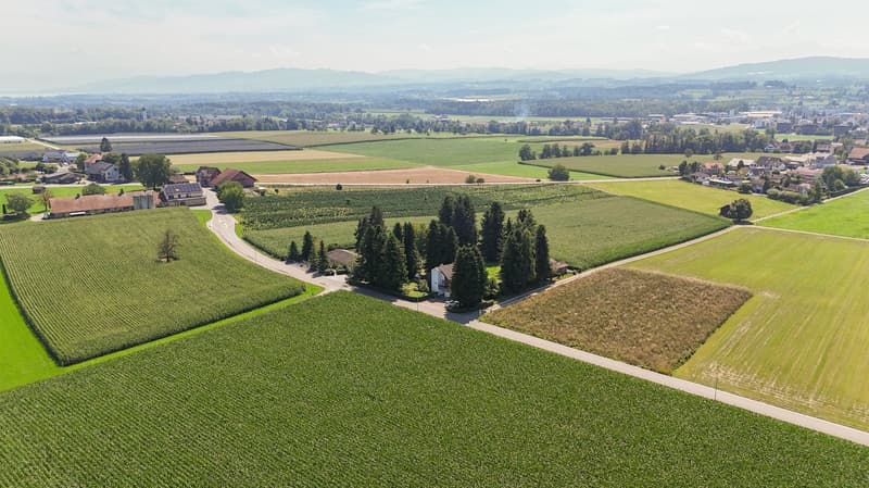 Spacious house with red roof, surrounded by vast green fields, tall trees, and distant hills