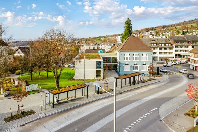 urban street, parked cars, street lights, bus stops, buildings, parked bicycles, greenery