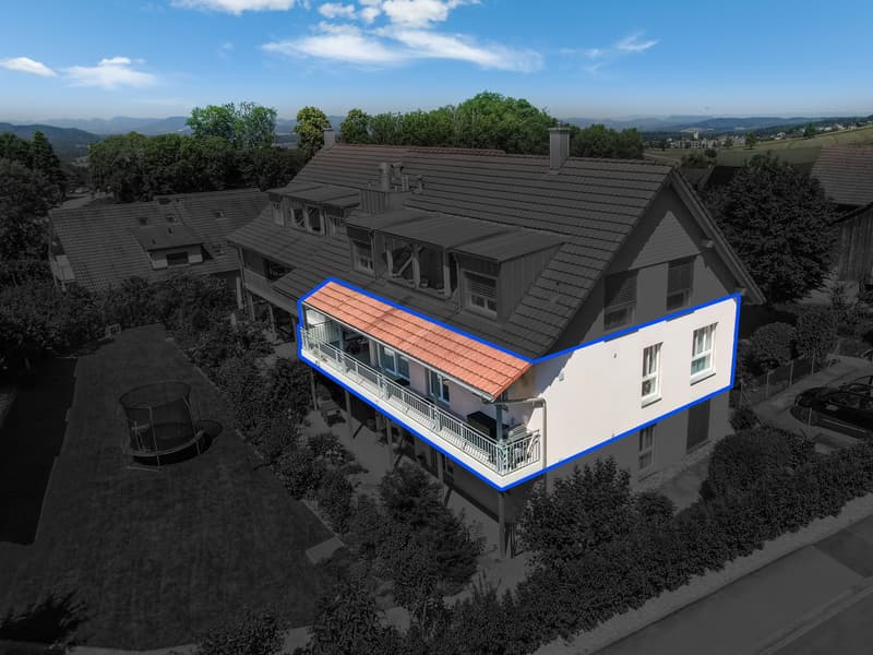 2 story house, black roof, white walls, terrace, trees, garden, trampoline, street