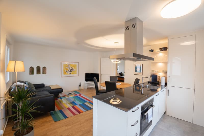 The image shows an open-plan living room and kitchen area. The living room has a black sofa, a colorful rug, and some wall decor. The kitchen features a stainless steel range hood, a built-in oven, and a dishwasher. The space has a modern and stylish desi