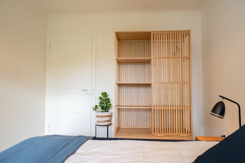 Spacious bedroom with white walls, wooden shelving unit, potted plant, and a black lamp on a side table. The room has a large window and a blue blanket on the bed.