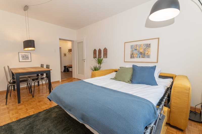 small room with a couch that acts as a bed, dining table, chairs, carpet, paintings, lamp