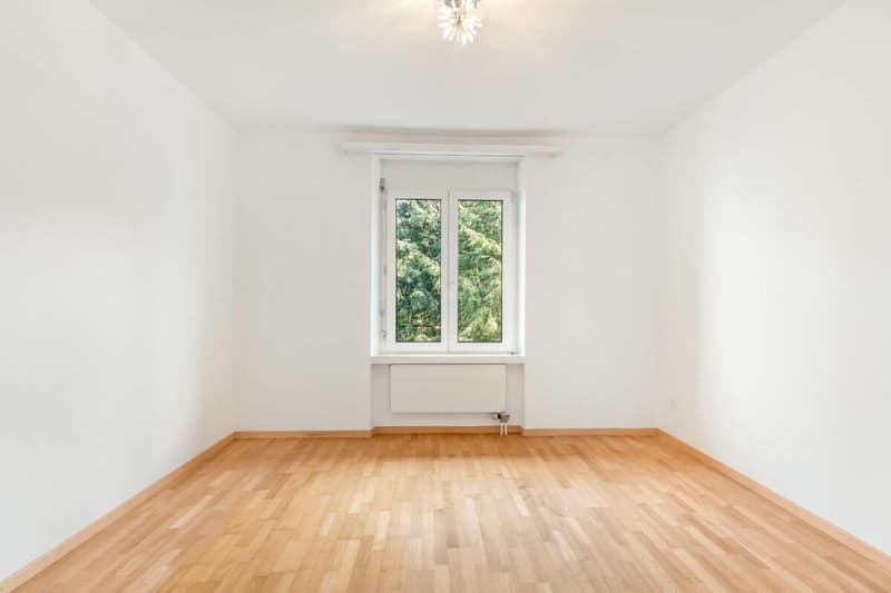 4.5-room apartment in Rorschacherberg with lake view (4)
