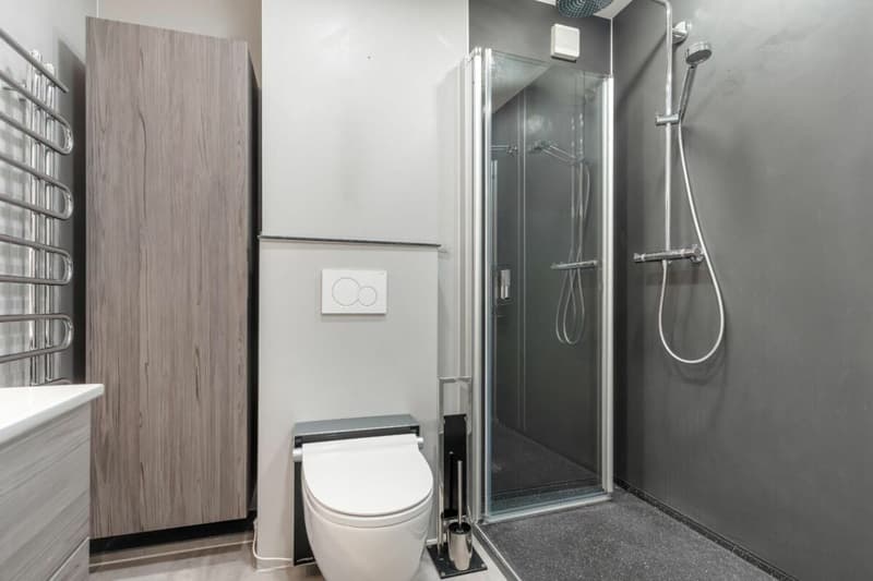 4.5-room apartment in Rorschacherberg with lake view (7)