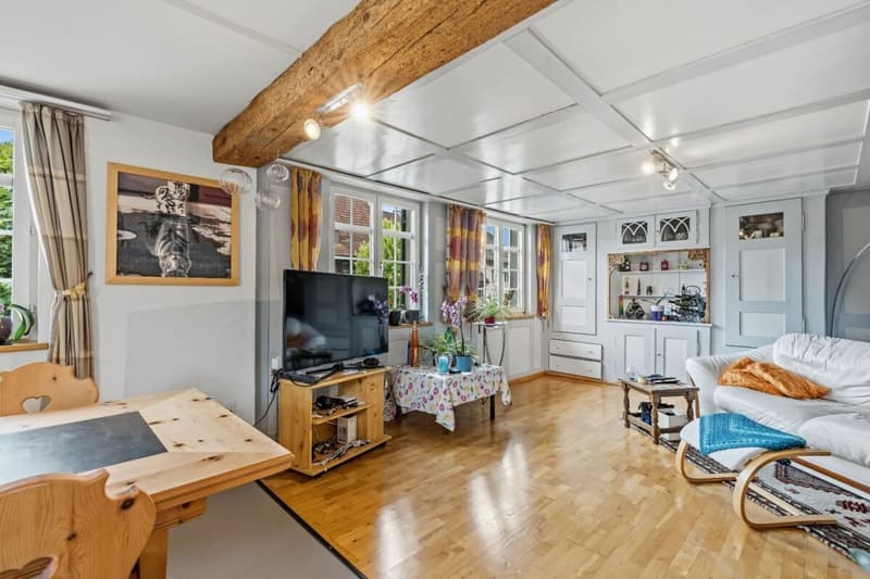 Living in the historic Riegelhaus - charming & spacious (18)