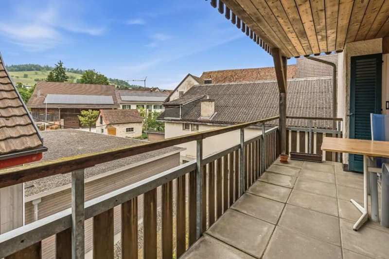 Living in the historic Riegelhaus - charming & spacious (9)