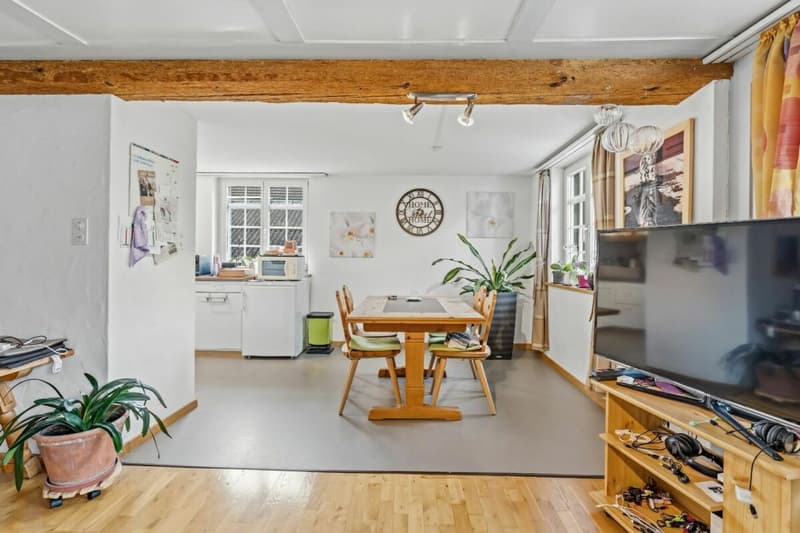 Living in the historic Riegelhaus - charming & spacious (17)