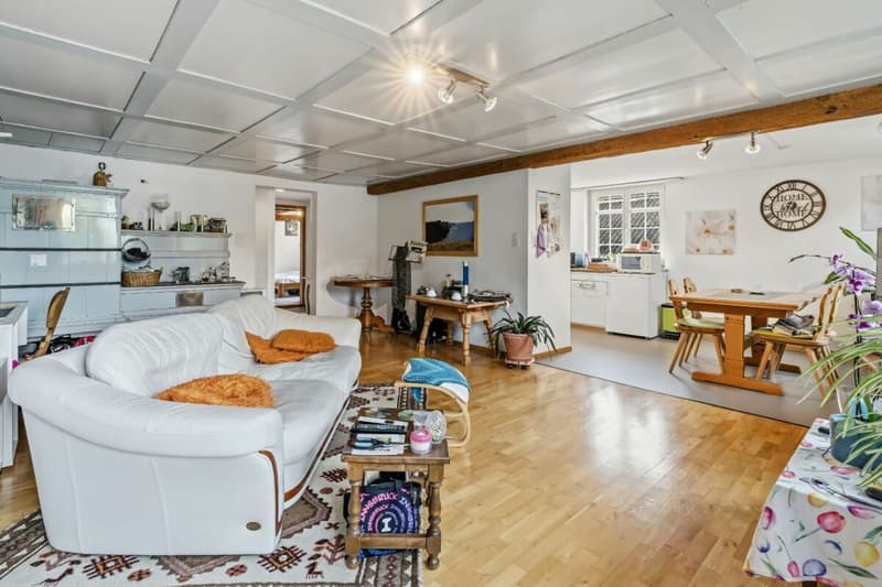 Living in the historic Riegelhaus - charming & spacious (2)