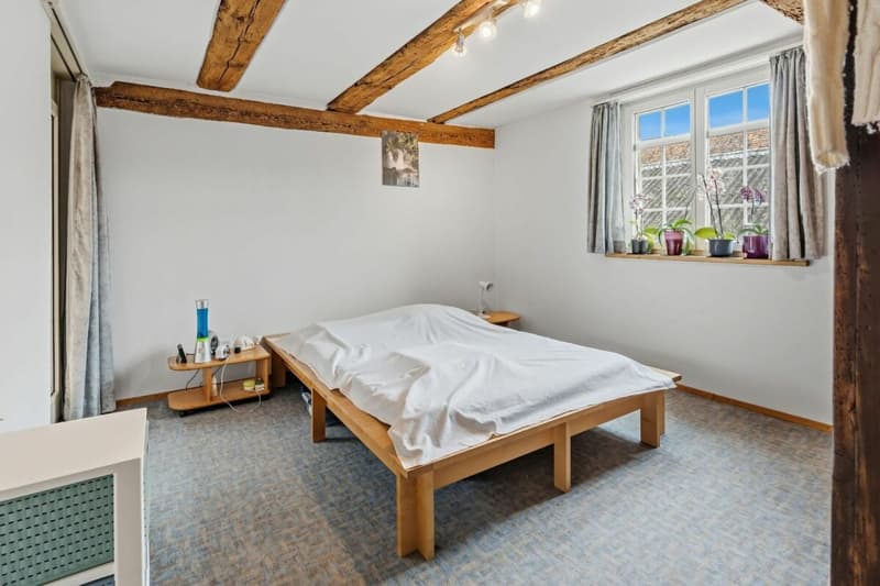 Living in the historic Riegelhaus - charming & spacious (5)