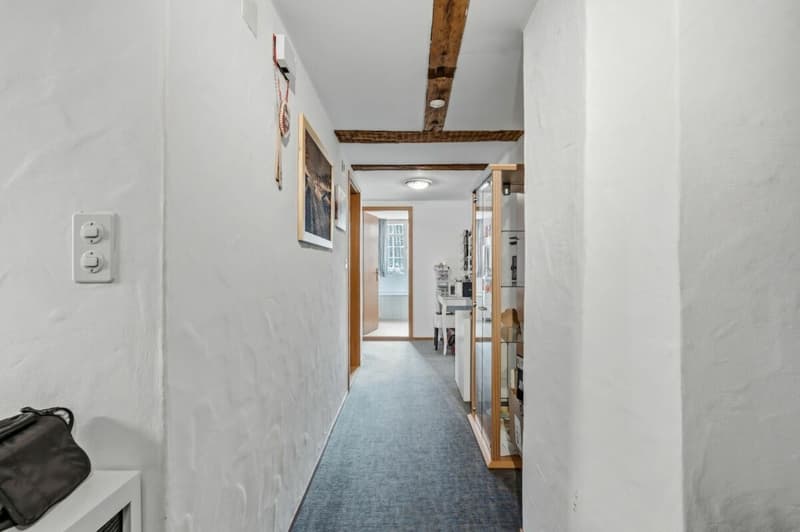 Living in the historic Riegelhaus - charming & spacious (16)