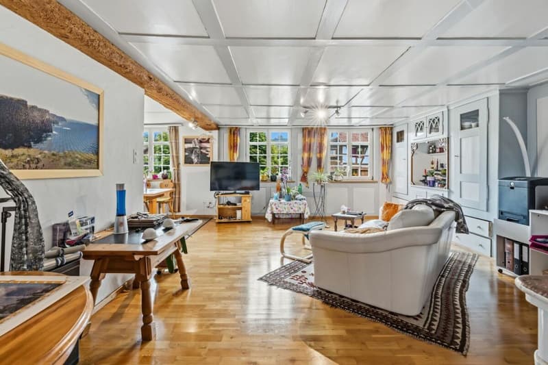 Living in the historic Riegelhaus - charming & spacious (15)