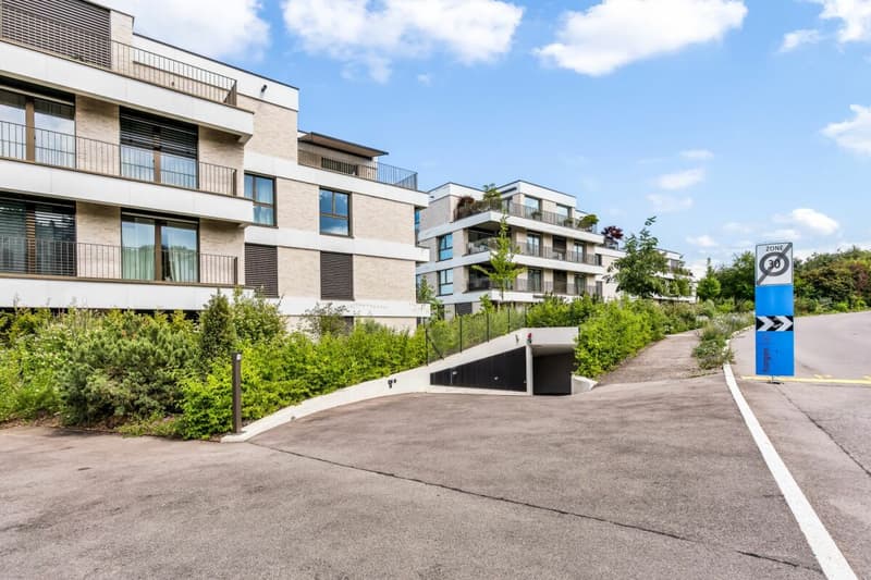 Wohnen am Zürichsee: Moderne Gartenwohnung mit viel Licht (4)