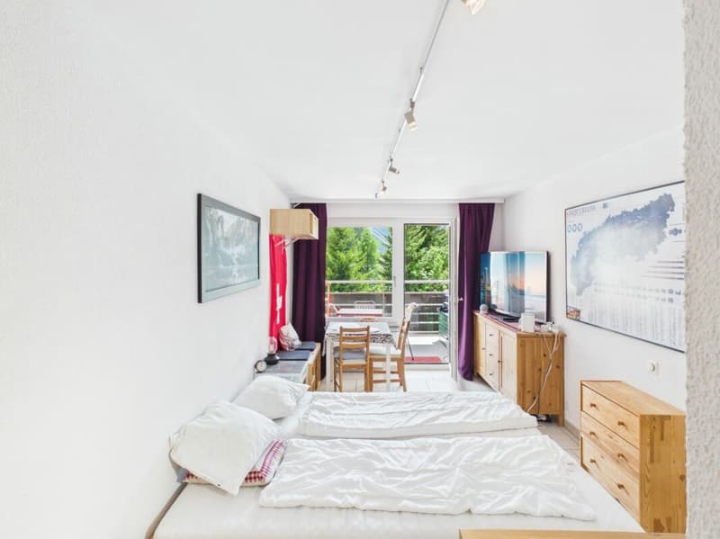Studio ensoleillé à Arosa (8)