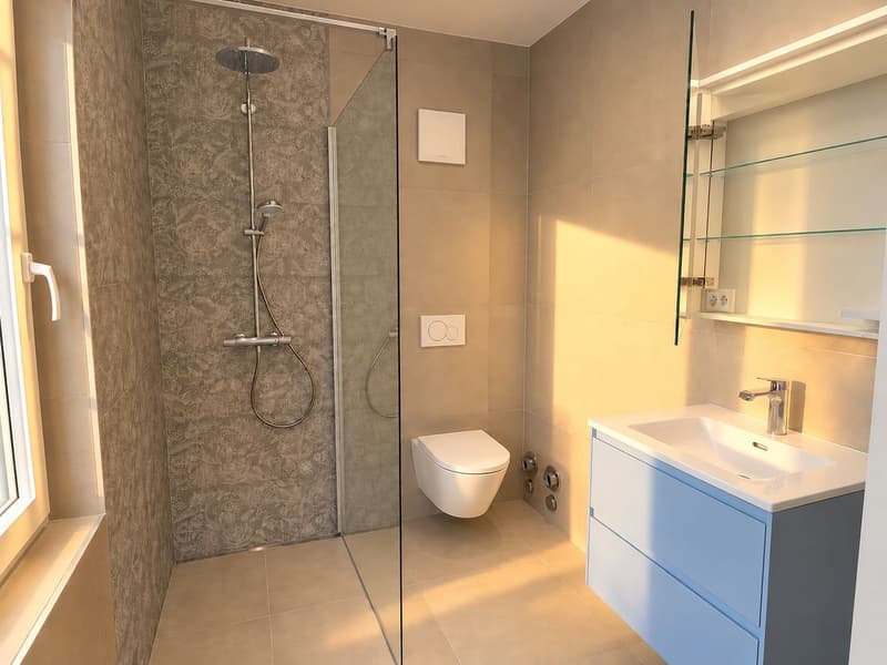 Pratique Studio 1.5 Pièces au Sentier (3)