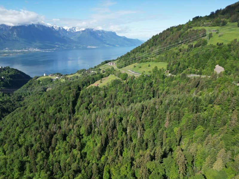 Lakeside Chalet (4)